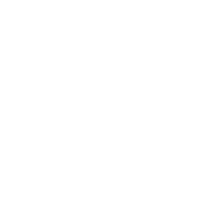 BigFig.AI Logo
